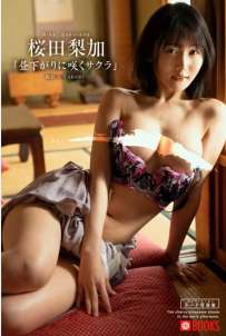 Photobook 2025.10.18